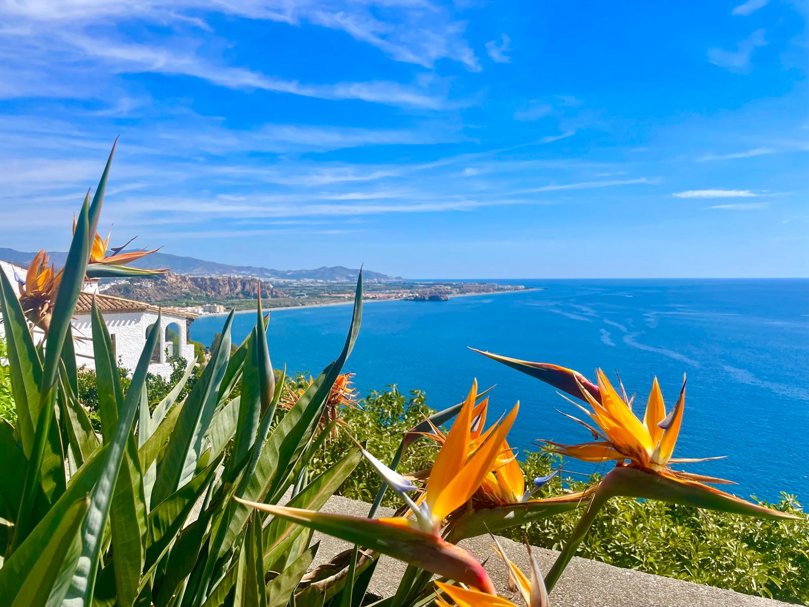 Villa mit Meerblick Estepona